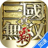 真·三国无双霸（0.1折免费版）图标